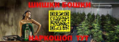 гашик Канаш