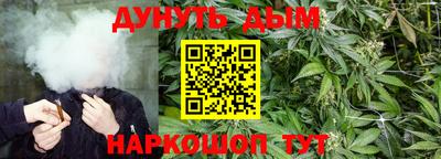 гашик Канаш