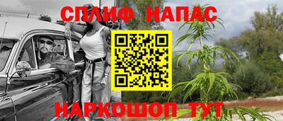 гашик Канаш