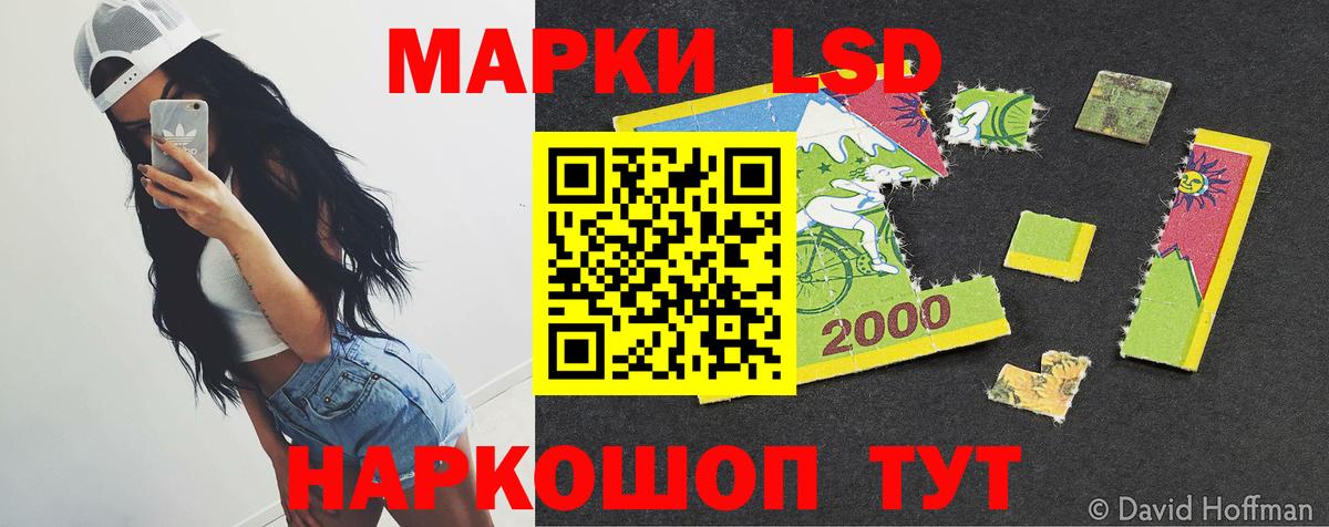 Лсд 25 экстази ecstasy  Лсд 25 экстази  Курчалой  ОМГ ОМГ как зайти  Вход с VPN  LSD-25 экстази ecstasy 