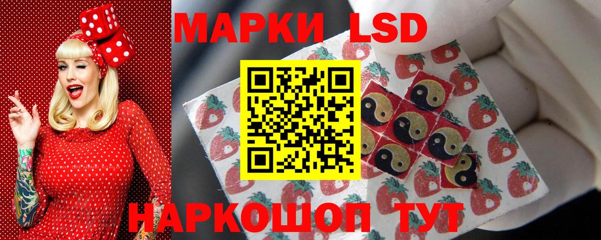 Наркотические марки 1,5мг  Вход с VPN  Курчалой 