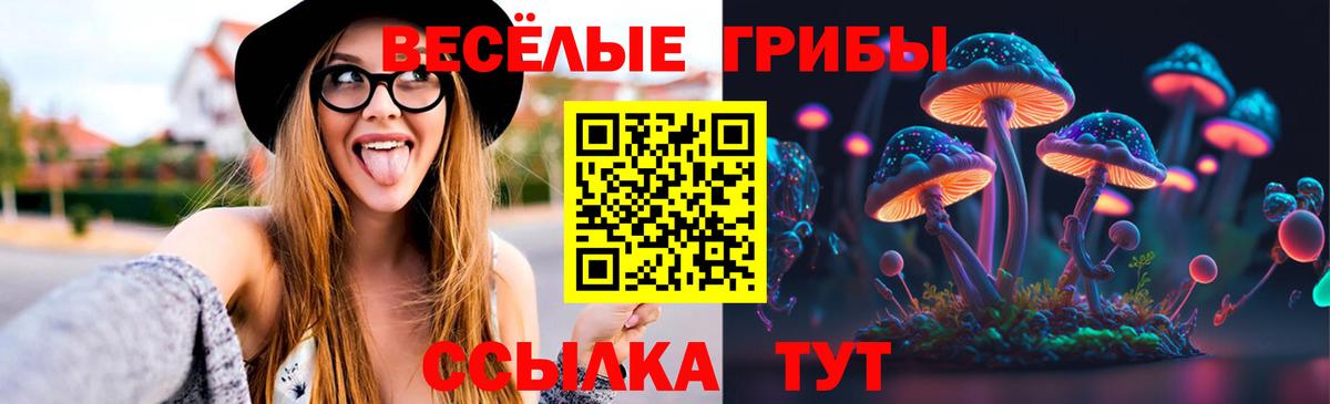 Курчалой  Псилоцибиновые грибы Cubensis  Вход с VPN 